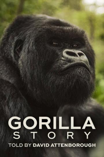 Hành Trình Của Khỉ Đột – Qua Giọng Kể David Attenborough